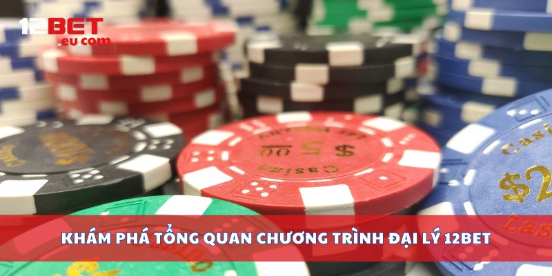 Khám phá tổng quan chương trình đại lý 12bet