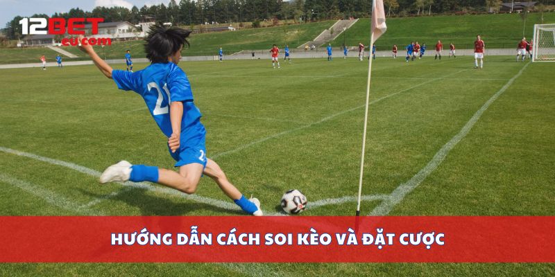Hướng dẫn cách soi kèo và đặt cược