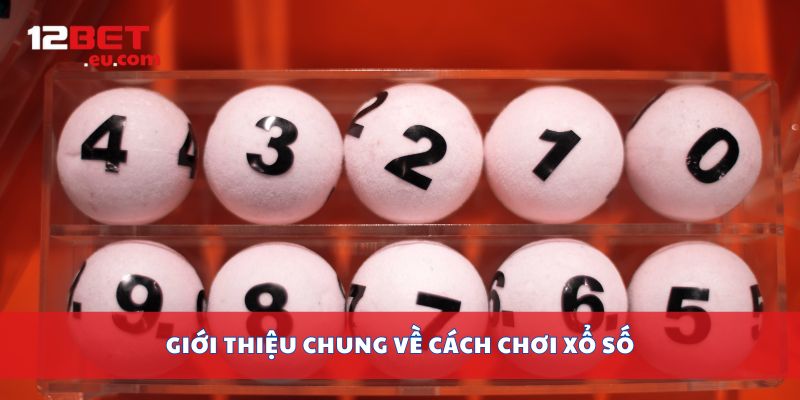 Giới thiệu chung về cách chơi xổ số